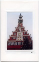 Rathaus mit Baum