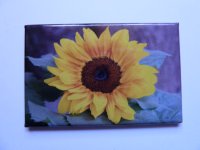 Magnet Sonnenblume 68x44mm