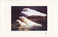 Eisbären mit Felsen