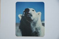Mousepad Eisbär 23x19cm