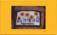 Tournesol