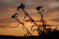 Abschied
