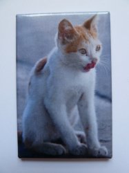 Magnet Helle Katze 68x44mm