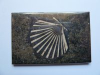 Magnet Jakobsmuschel 68x44mm