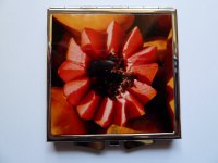 Taschenspiegel 6x6cm Papaya