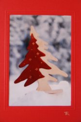 Roter Holztannenbaum
