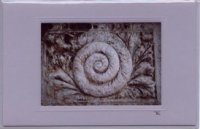 Schnecke