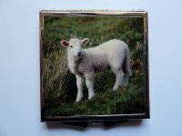 Taschenspiegel 6x6cm Schäfchen