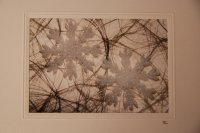 Schneeflocken auf Silber