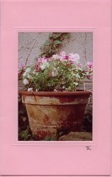 Blumentopf