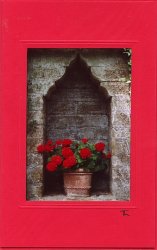 Rote Geranien