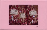 Boutos de rose