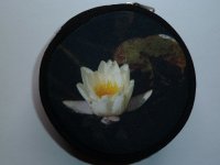 Geldbörse Seerose rund 9x3cm