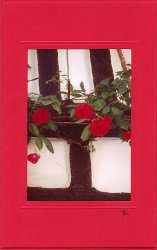 Rote Rosen